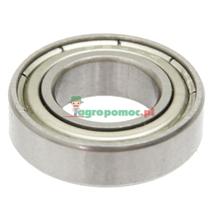  Deep groove ball bearing